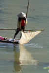 Ba Be National Park - vietnam: woman is catching fish with a net tied to a bamboo stick - photo by Tran Thai