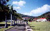 British Virgin Islands - Tortola: Paraquita bay - Agricultural Station (photo by M.Torres)